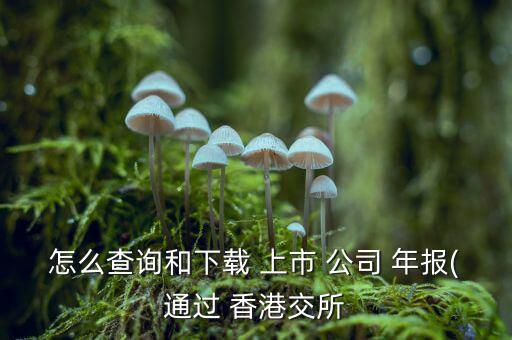 怎么查香港上市公司年報(bào),上市公司年報(bào)有兩個(gè)版本供您查詢(xún)