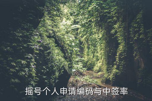  搖號個(gè)人申請編碼與中簽率