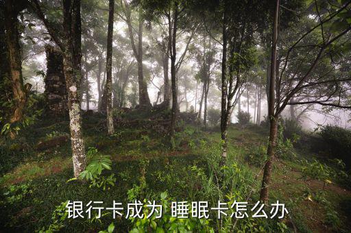 銀行睡眠戶(hù)怎么處理,銀行卡睡眠卡怎么恢復(fù)?