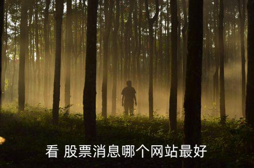 看 股票消息哪個(gè)網(wǎng)站最好