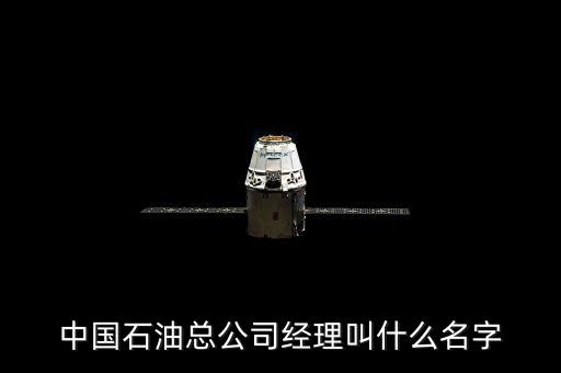 蔣潔敏怎么不宣判,中國石油天然氣集團(tuán)公司總經(jīng)理廖將永遠(yuǎn)擔(dān)任