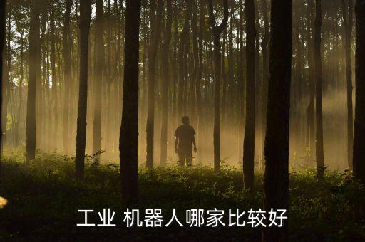 工業(yè) 機器人哪家比較好