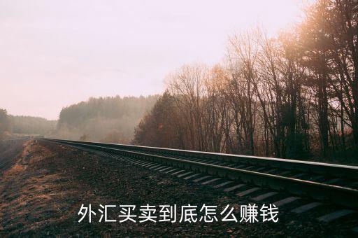 外匯買賣到底怎么賺錢(qián)