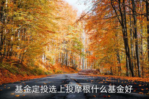 上投雙息怎么樣,現(xiàn)金分紅與紅利再投資各有不同