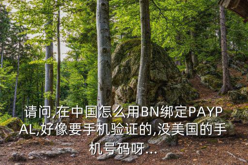 請(qǐng)問,在中國怎么用BN綁定PAYPAL,好像要手機(jī)驗(yàn)證的,沒美國的手機(jī)號(hào)碼呀...