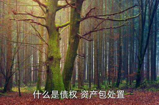 資產(chǎn)包怎么賣,打包處置:債權(quán)資產(chǎn)打包拍賣