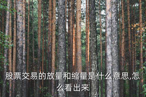 股票交易的放量和縮量是什么意思,怎么看出來(lái)