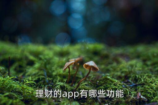 網(wǎng)易理財(cái)產(chǎn)品怎么樣,理財(cái)攻略（四）
