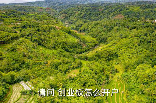 股票創(chuàng)業(yè)板怎么開(kāi)通,開(kāi)通-1/board流程如下:
