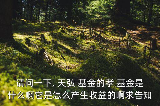 請(qǐng)問一下, 天弘 基金的孝 基金是什么啊它是怎么產(chǎn)生收益的啊求告知