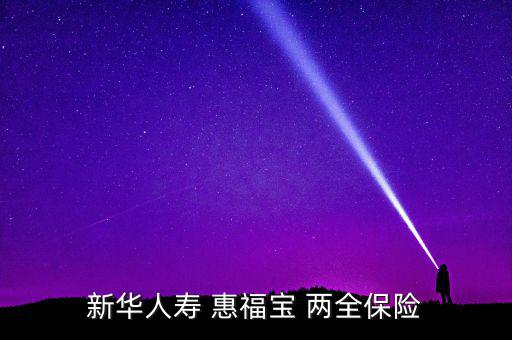 新華人壽 惠福寶 兩全保險