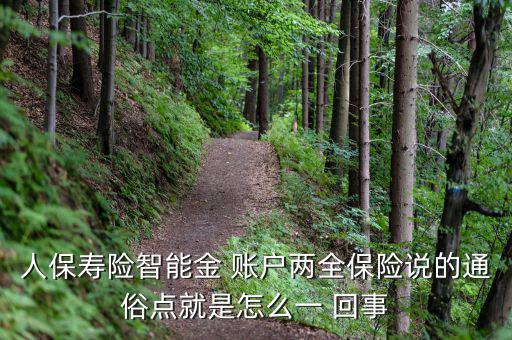 人保壽險智能金 賬戶兩全保險說的通俗點就是怎么一 回事