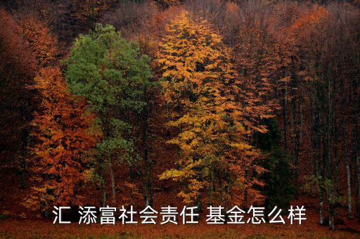 匯 添富社會責(zé)任 基金怎么樣