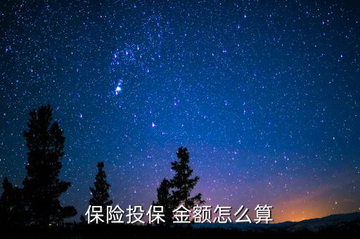 保險(xiǎn)投保 金額怎么算