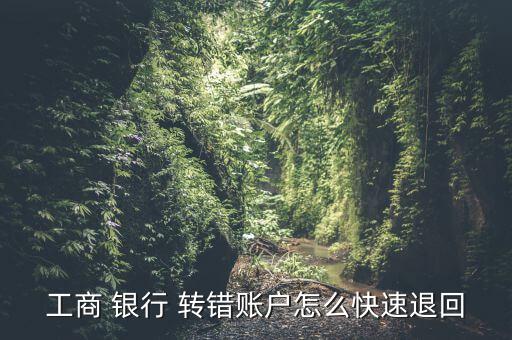 工行手機(jī)銀行轉(zhuǎn)錯(cuò)帳怎么辦,財(cái)富管理學(xué)堂（13）
