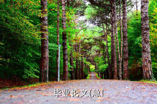 股票行業(yè)分析報(bào)告怎么寫(xiě),房地產(chǎn)行業(yè)十強(qiáng)之一的綠地控股