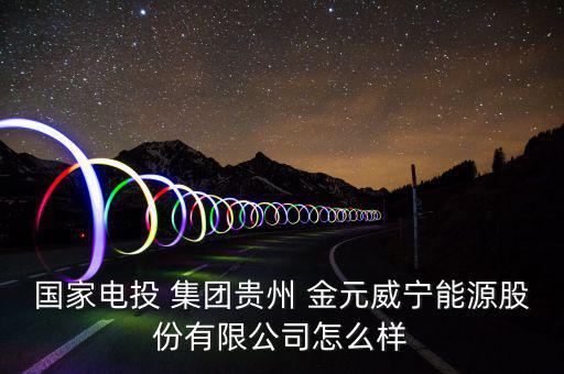 金元集團(tuán)怎么樣,金元證券有限責(zé)任公司成立于2002年8月