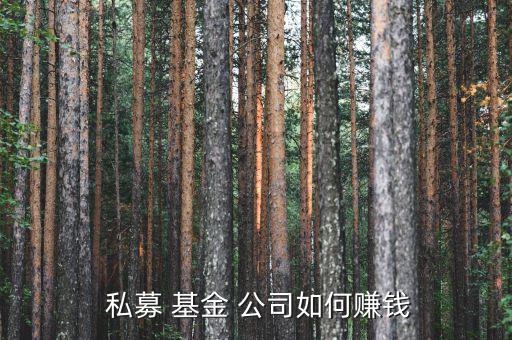  私募 基金 公司如何賺錢(qián)