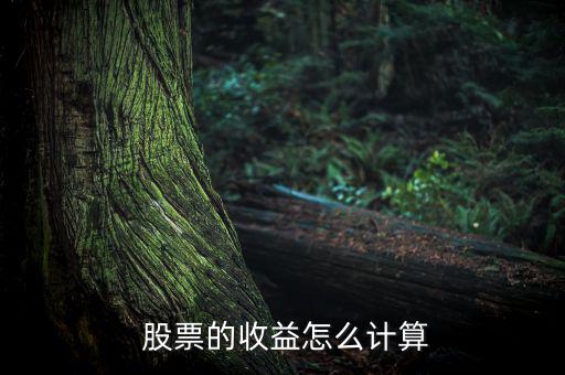  股票的收益怎么計算