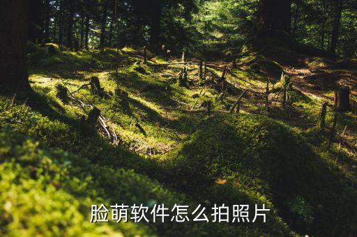臉萌怎么賺錢,5000元一鍵制作小程序還原漫畫(huà)還原聲音晃動(dòng)