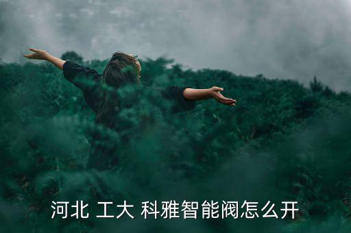 河北 工大 科雅智能閥怎么開(kāi)