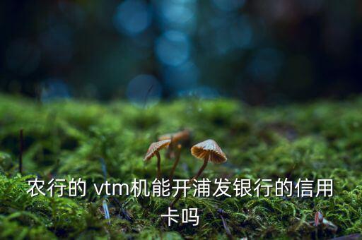 農行的 vtm機能開浦發(fā)銀行的信用卡嗎