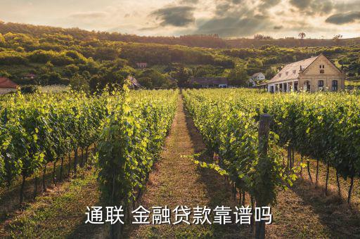 金融百家怎么樣,通聯金融的優(yōu)勢業(yè)務