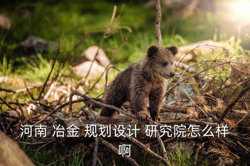 河南 冶金 規(guī)劃設(shè)計 研究院怎么樣啊