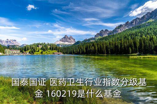  國泰國證 醫(yī)藥衛(wèi)生行業(yè)指數(shù)分級基金 160219是什么基金