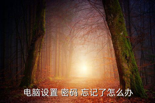  電腦設(shè)置 密碼 忘記了怎么辦