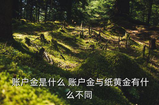  賬戶金是什么 賬戶金與紙黃金有什么不同