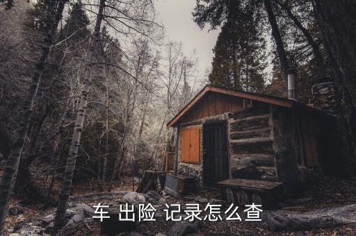 怎么查車險(xiǎn)出險(xiǎn)記錄,保險(xiǎn)公司新功能有哪些?