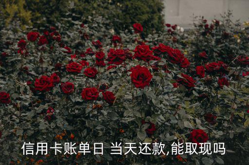 信用卡賬單日 當天還款,能取現嗎