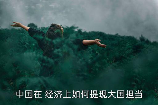 中國在 經濟上如何提現(xiàn)大國擔當