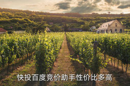 快投機(jī)器怎么樣,競價管家軟件免費試用調(diào)整關(guān)鍵詞價格