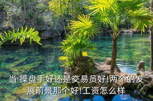 當(dāng) 操盤手好還是交易員好!兩個的發(fā)展前景那個好!工資怎么樣