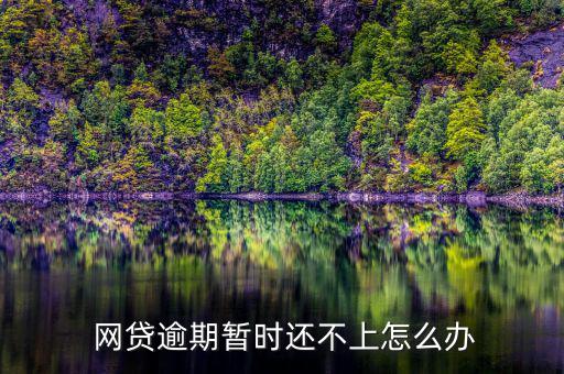 網(wǎng)貸的錢還不上怎么辦,你的理財(cái)計(jì)劃