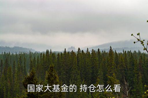 機構(gòu)持倉怎么看,理財網(wǎng)站還會公布基金倉位計算數(shù)據(jù)