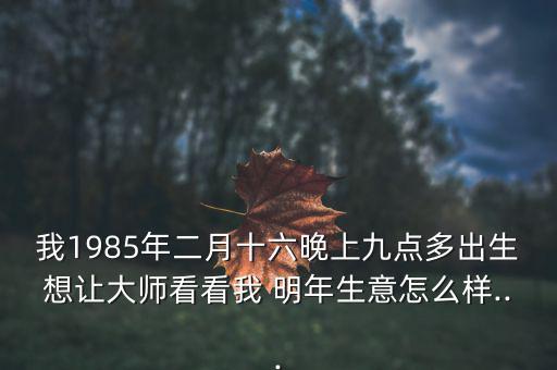 我1985年二月十六晚上九點(diǎn)多出生想讓大師看看我 明年生意怎么樣...