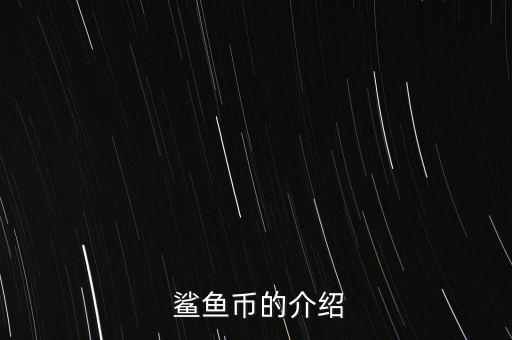 鯊魚幣怎么挖,比特幣是共識網(wǎng)絡(luò)推動了一個全新的支付系統(tǒng)