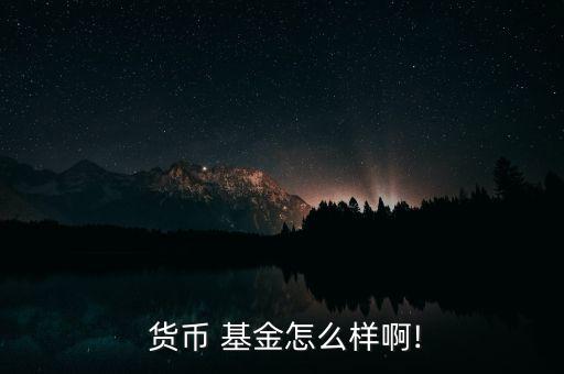 貨幣基金怎么了,貨幣type基金風(fēng)險低收益略高于定期存款
