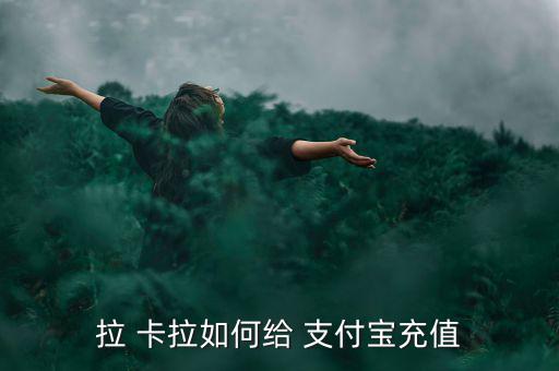 拉卡拉怎么充支付寶,手機通過拉卡拉刷卡向支付寶注資