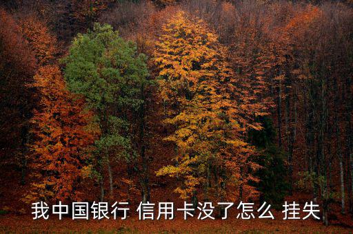 我中國銀行 信用卡沒了怎么 掛失