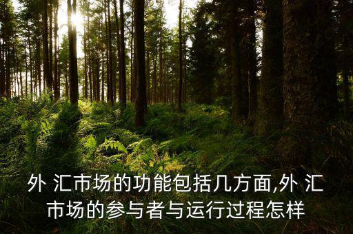 外 匯市場的功能包括幾方面,外 匯市場的參與者與運(yùn)行過程怎樣