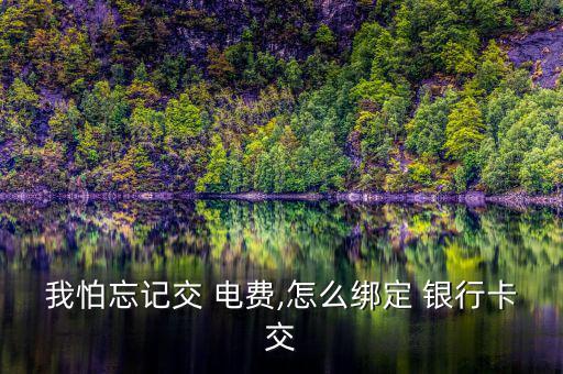 銀行卡交電費(fèi)怎么交,公共事業(yè)繳費(fèi)首次網(wǎng)上辦理手續(xù)
