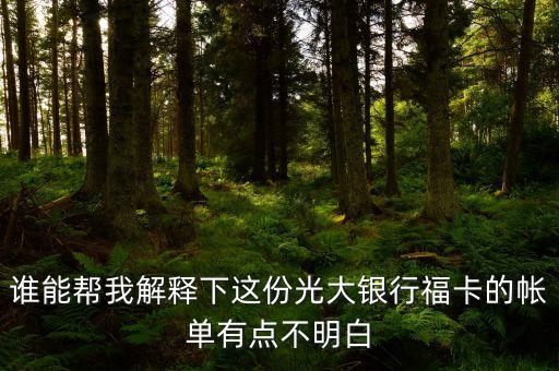 光大的賬單明細(xì)都什么意思，誰能幫我解釋下這份光大銀行福卡的帳單有點(diǎn)不明白