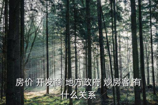 房?jī)r(jià) 開發(fā)商 地方政府 炒房客 有什么關(guān)系