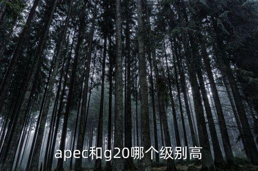 國際貿(mào)易額由什么組成，國際貿(mào)易額和對(duì)外貿(mào)易額兩者的區(qū)別