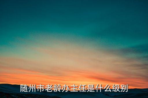 全國老齡辦副主任什么級別，全國老齡委辦公室副主任 什么級別