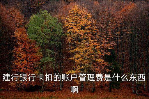 建設(shè)銀行的賬戶管理費(fèi)是什么，建行銀行卡扣的賬戶管理費(fèi)是什么東西啊